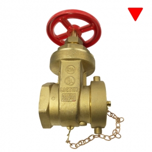 Brass Gate Valve